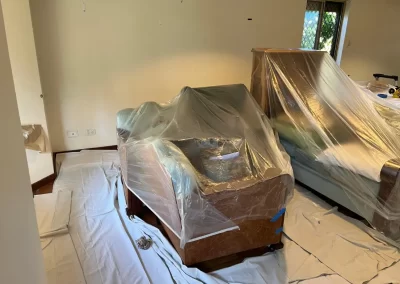 Professional Painter