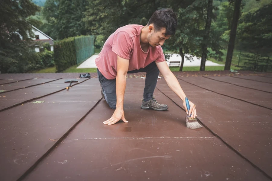 Premium Roof Painting Nollamara, WA